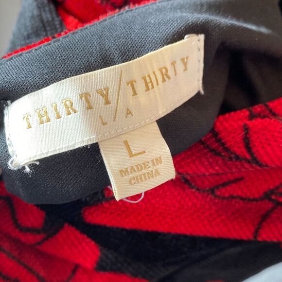 Thirty/Thirty Velvet Sheath Dress L Black Red Rose Romantic Coquette Whimsigoth - Picture 7 of 12